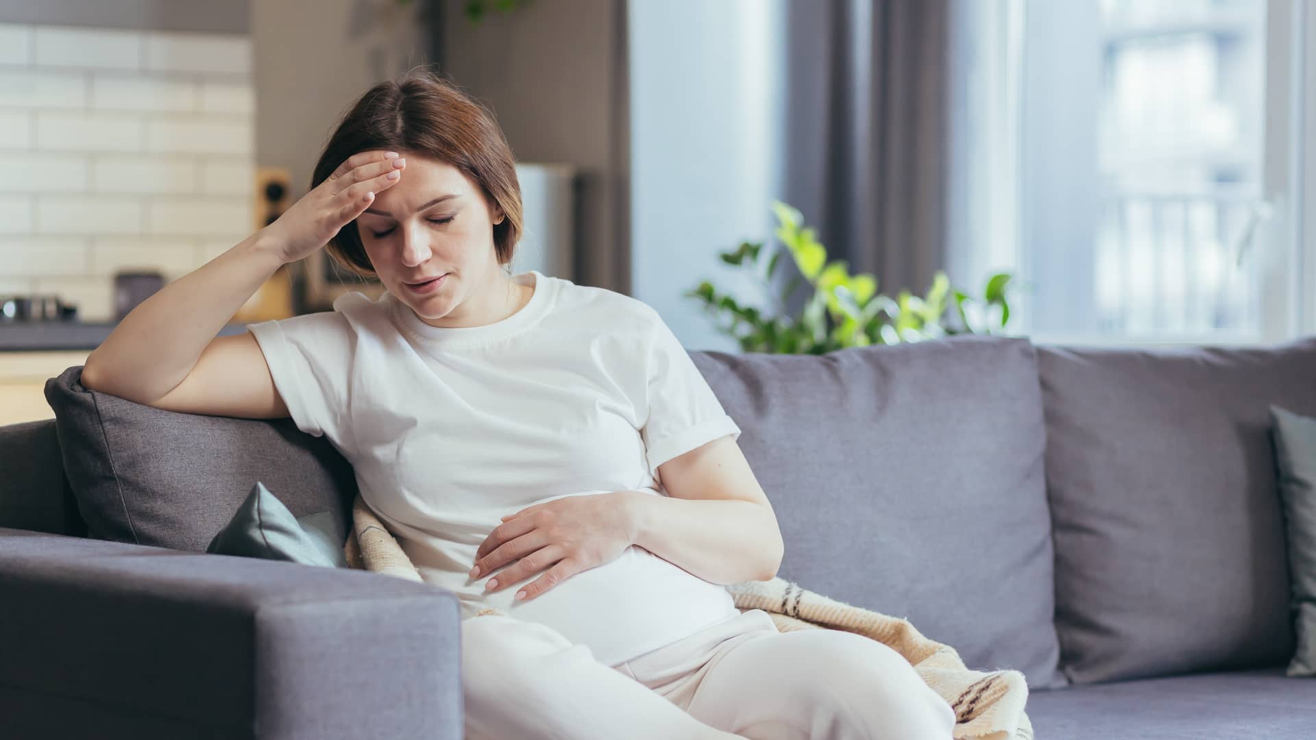 20 semanas embarazo: ecografía morfológica para descartar malformaciones